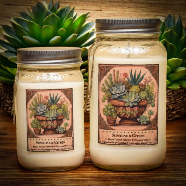 Sunshine and Citrus Jar Candles