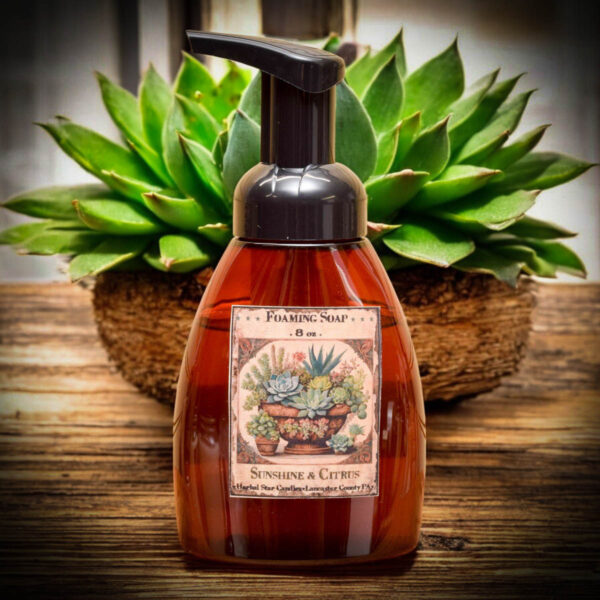 Sunshine and Citrus Foaming Soap