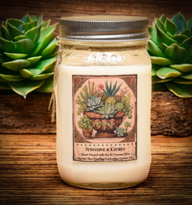 Sunshine and Citrus 16 oz Jar Candle