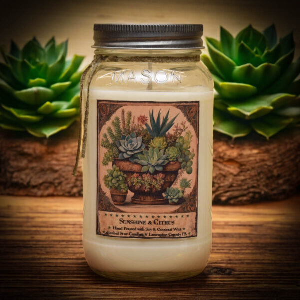 Sunshine and Citrus 24 oz Jar Candle