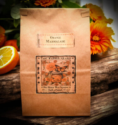 Orange Marmalade bag of 12 tarts
