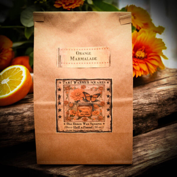 Orange Marmalade bag of 12 tarts