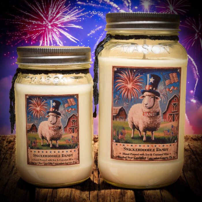 Snickerdoodle Dandy Scent Collection - Herbal Star Candles