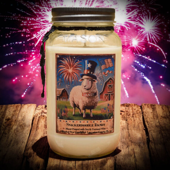 Snickerdoodle Dandy Mason Jar Candle-24 oz - Herbal Star Candles