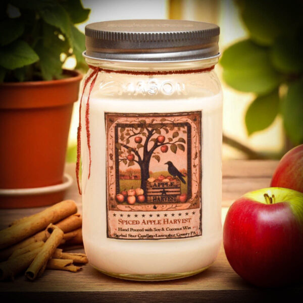 Spiced Apple Harvest 16 oz jar candle