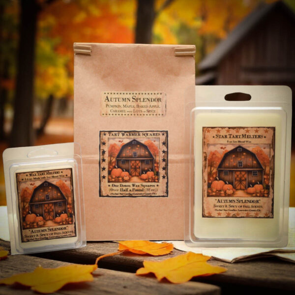 Autumn Splendor tarts