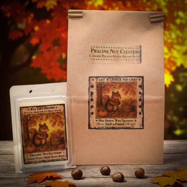 Praline Nut Cluster Mason Jar Candle-24 oz-Squirrel Label - Image 4