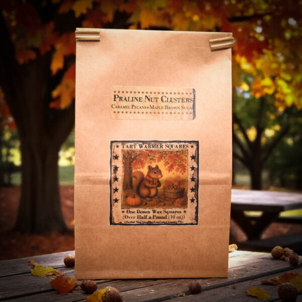 Praline Nut Cluster 10 oz bag of 12 wax tarts with squirrel-themed label and sweet, nutty scent of pecans, pralines, and caramel