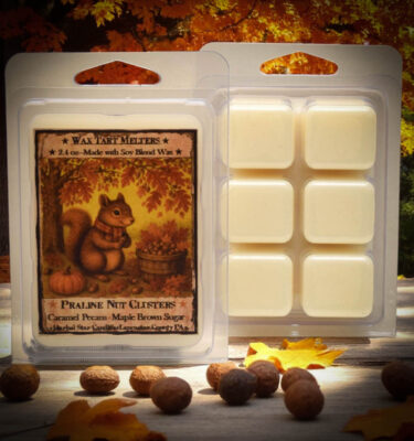 Package of Praline Nut Cluster mini wax tarts with squirrel-themed label and scent of roasted pecans, pralines, and caramel