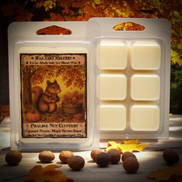 Package of Praline Nut Cluster mini wax tarts with squirrel-themed label and scent of roasted pecans, pralines, and caramel