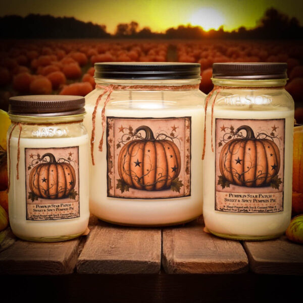 Pumpkin Star Patch Mini Pack of 6 Tarts-2.4 oz - Image 4