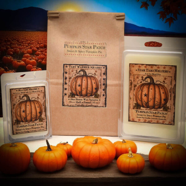 Pumpkin Star Patch Mini Pack of 6 Tarts-2.4 oz - Image 2