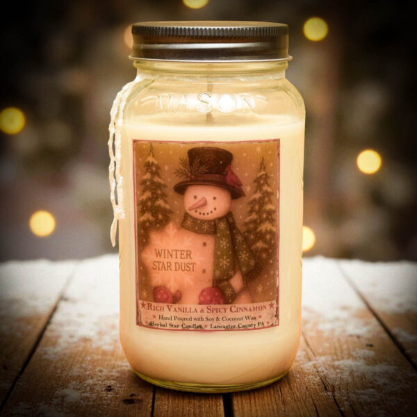 Winter Star Dust Mason Jar Candle - 24 oz