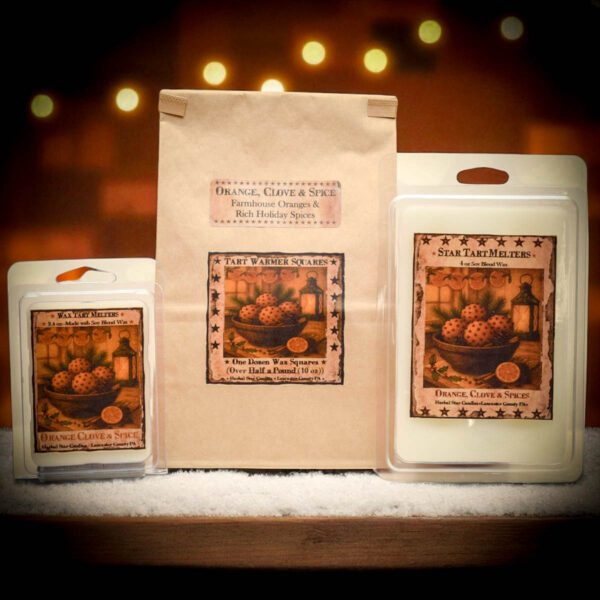 Orange Clove and Spices Foaming Soap-8 oz - Image 2