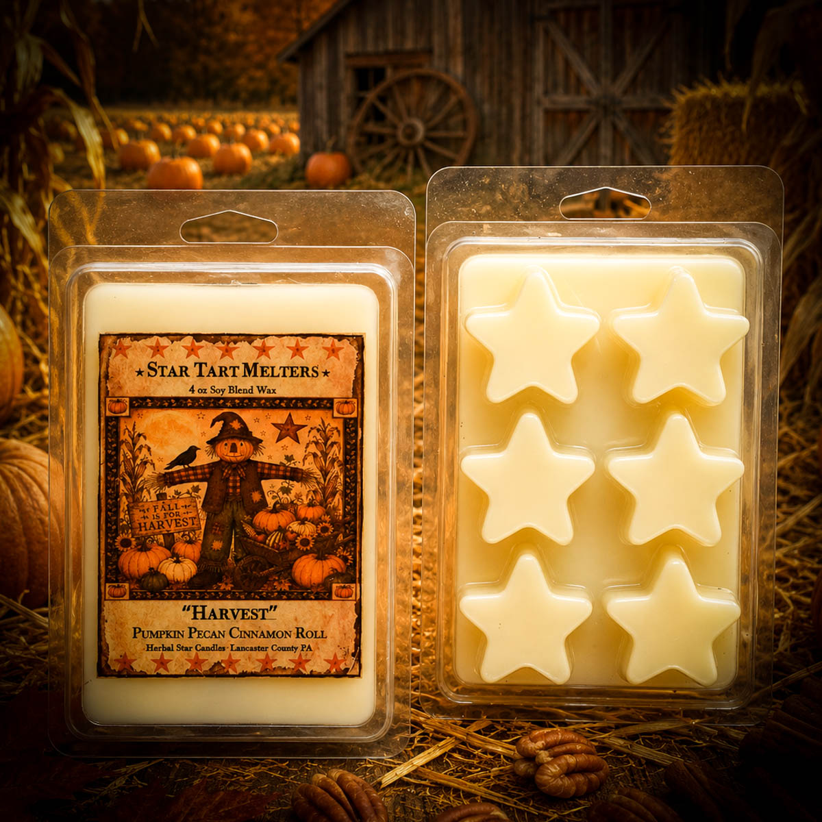 Harvest Star Tart Melters with pumpkin pecan cinnamon roll fragrance displayed in a rustic pumpkin patch setting