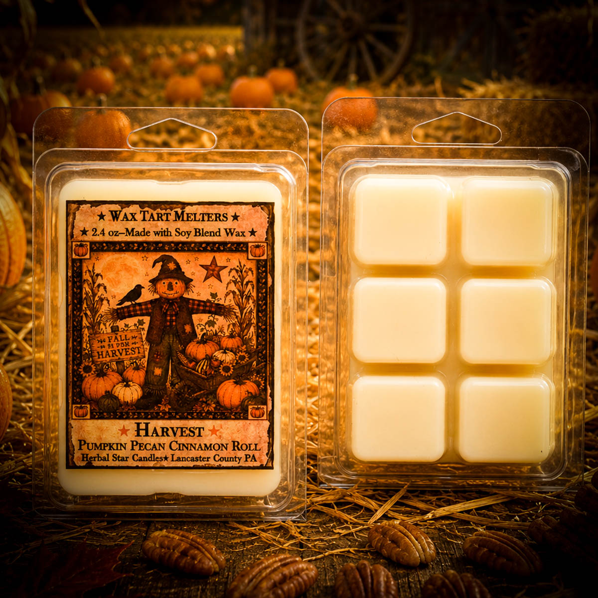 Harvest Mini Wax Tarts with pumpkin pecan cinnamon roll fragrance displayed in a rustic pumpkin patch setting